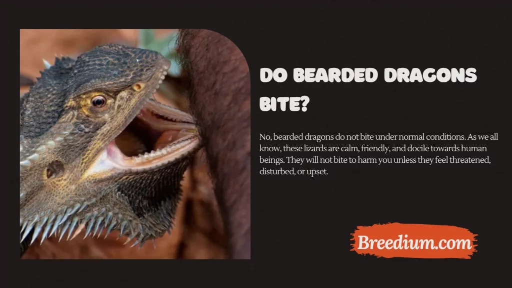 Do Bearded Dragons Bite