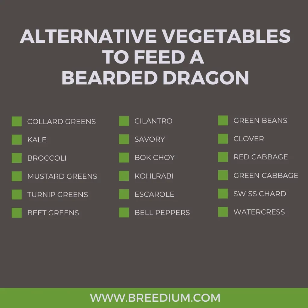 Alternative Vegetables To Feed A Bearded Dragon
