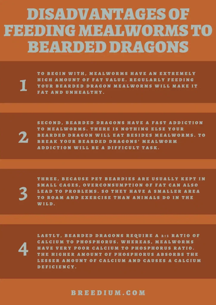 Disadvantages Of Feeding Mealworms To Bearded Dragons
