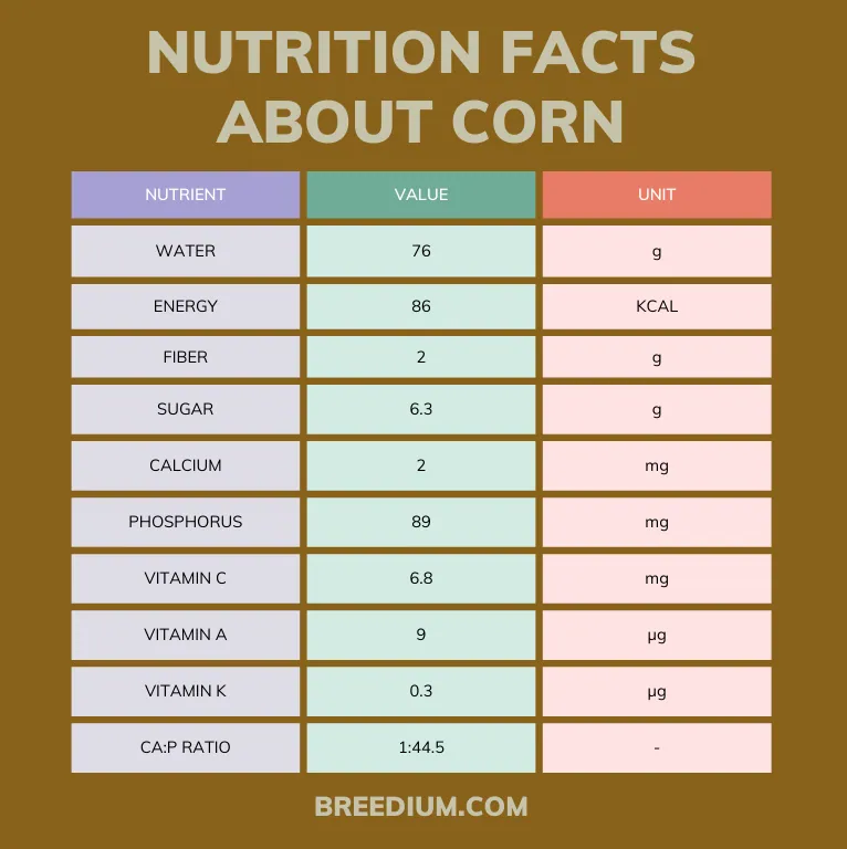 Nutrition Facts about Corn