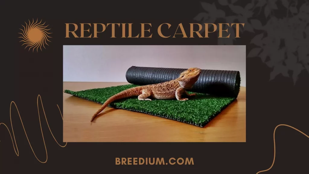 Reptile Carpet