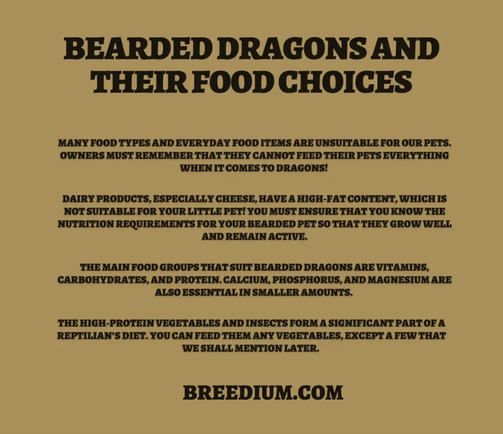 Bearded Dragons And Their Food Choices