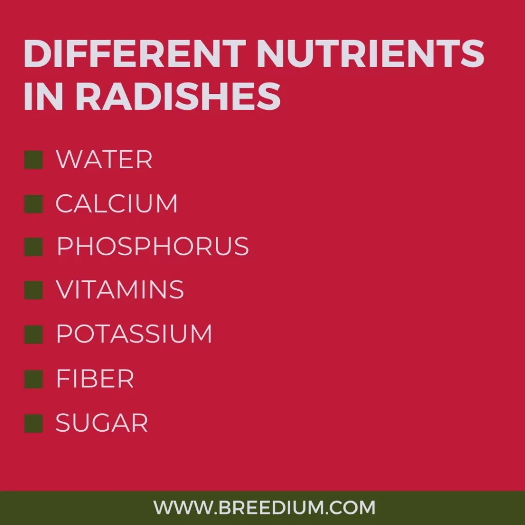 Different nutrients in Radishes