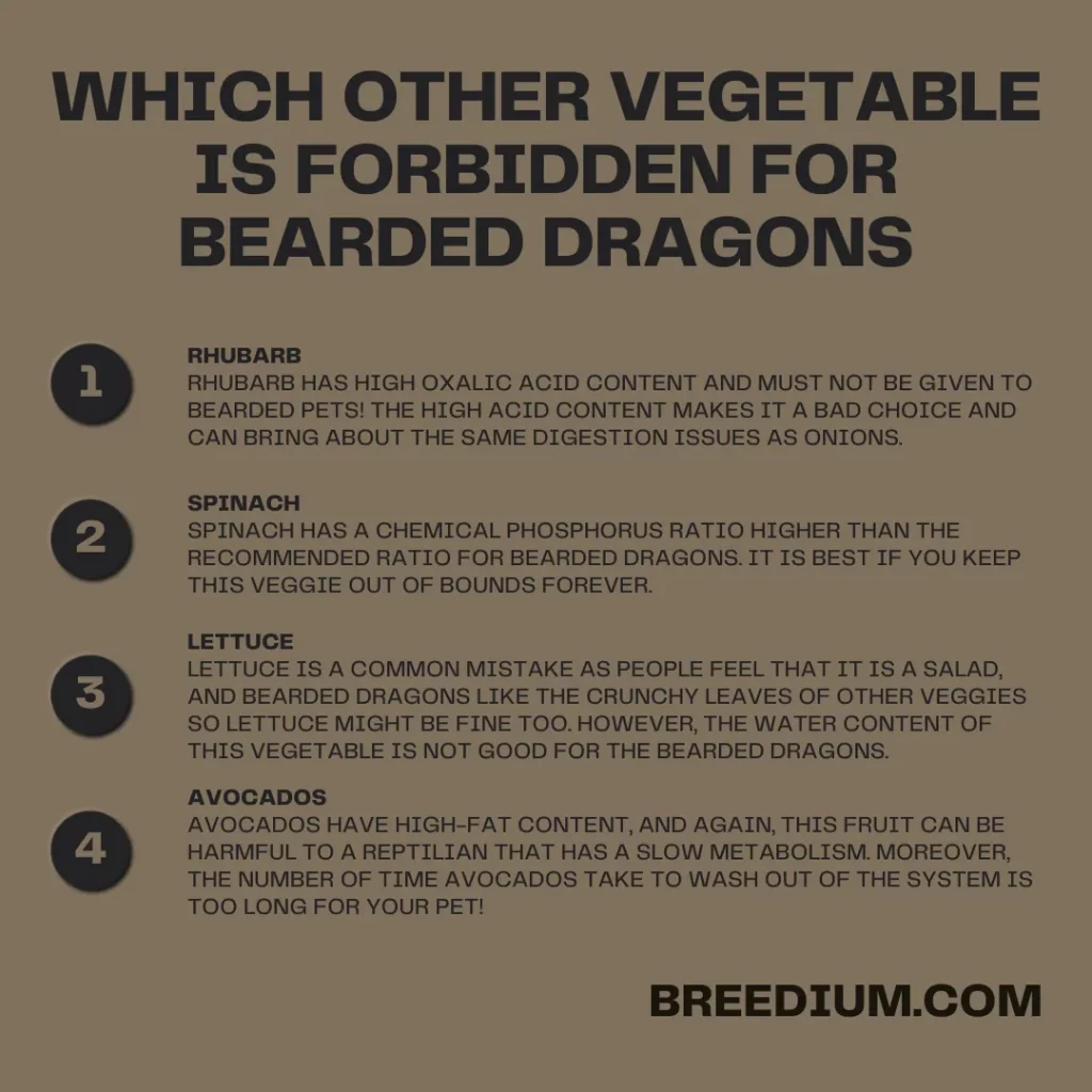 Which Other Vegetable Is Forbidden For Bearded Dragons