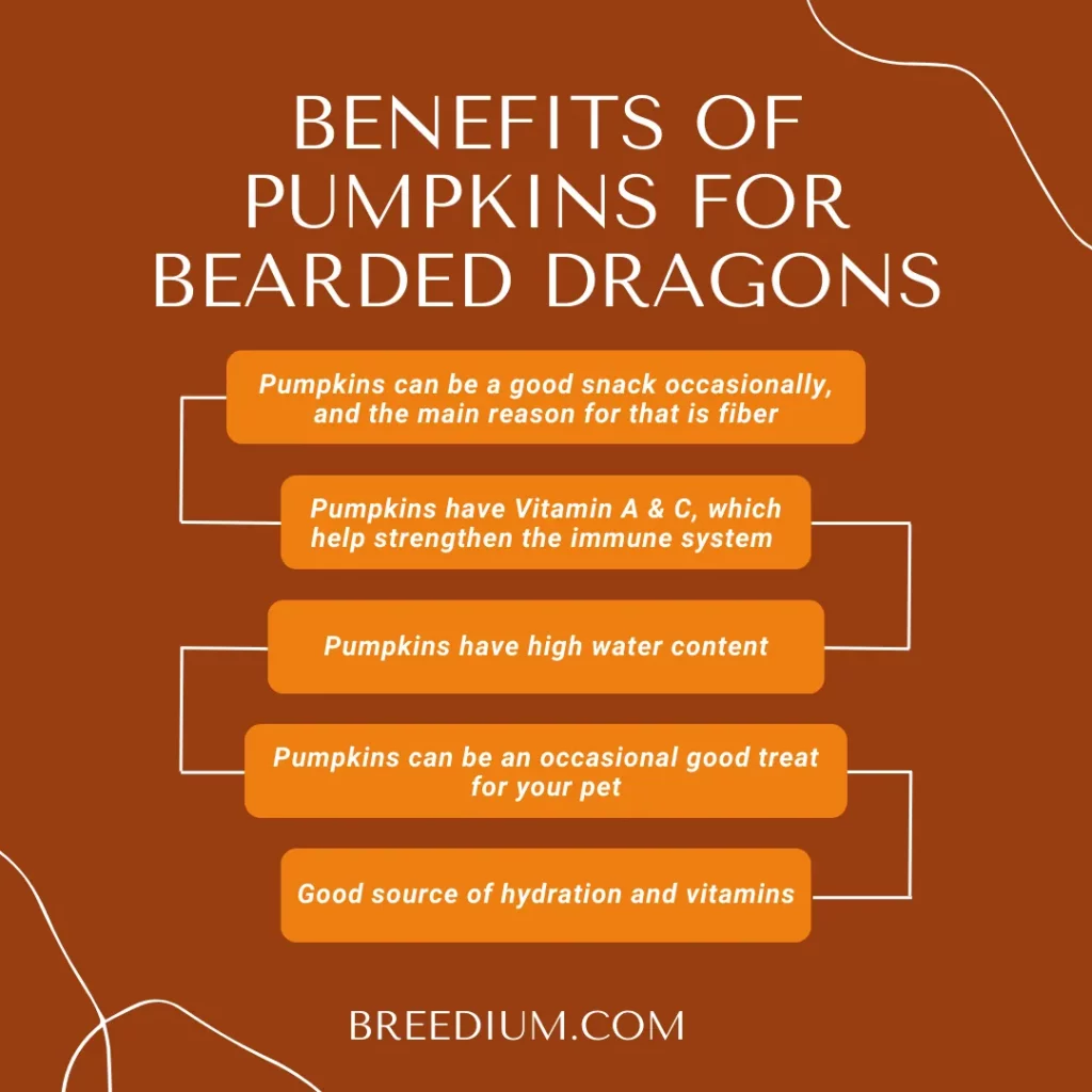Benefits Of Pumpkins