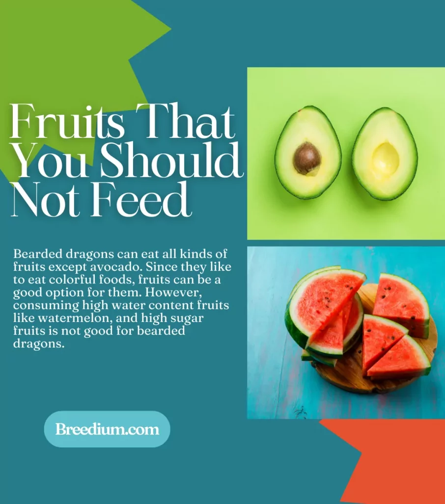 Fruits That You Should Not Feed