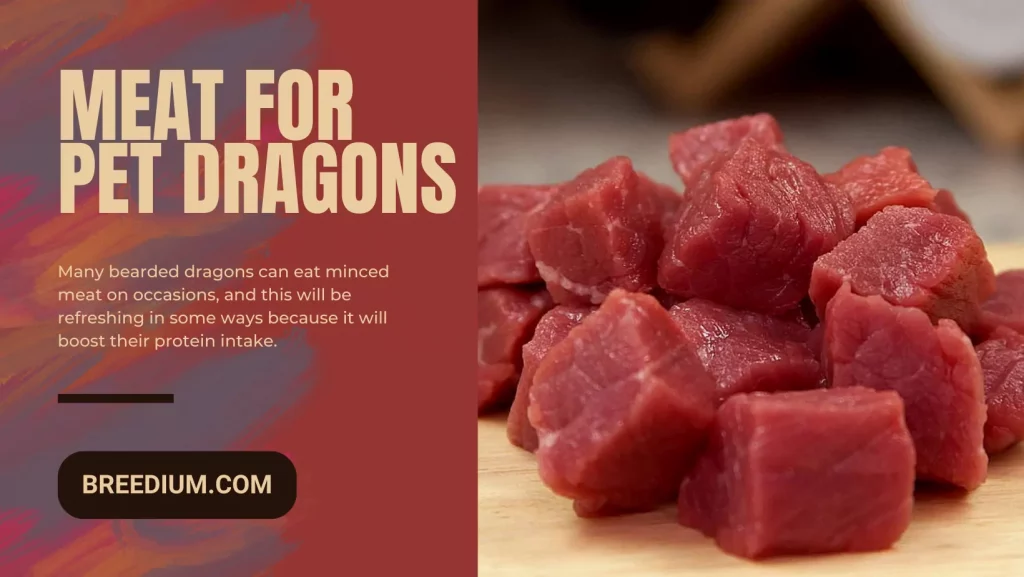 Meat For Pet Dragons