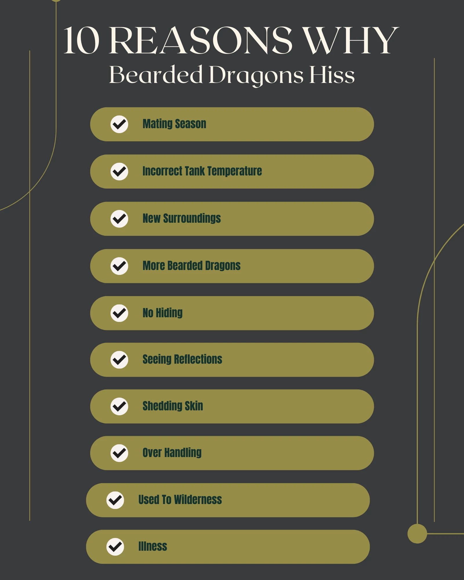 Reasons For Hissing Bearded Dragons