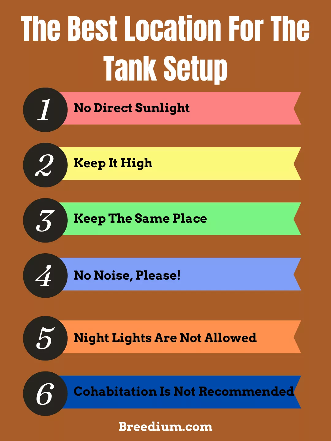 The Best Location For The Tank Setup