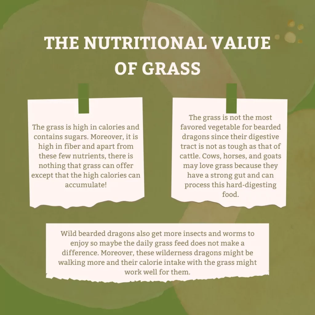 The Nutritional Value Of Grass