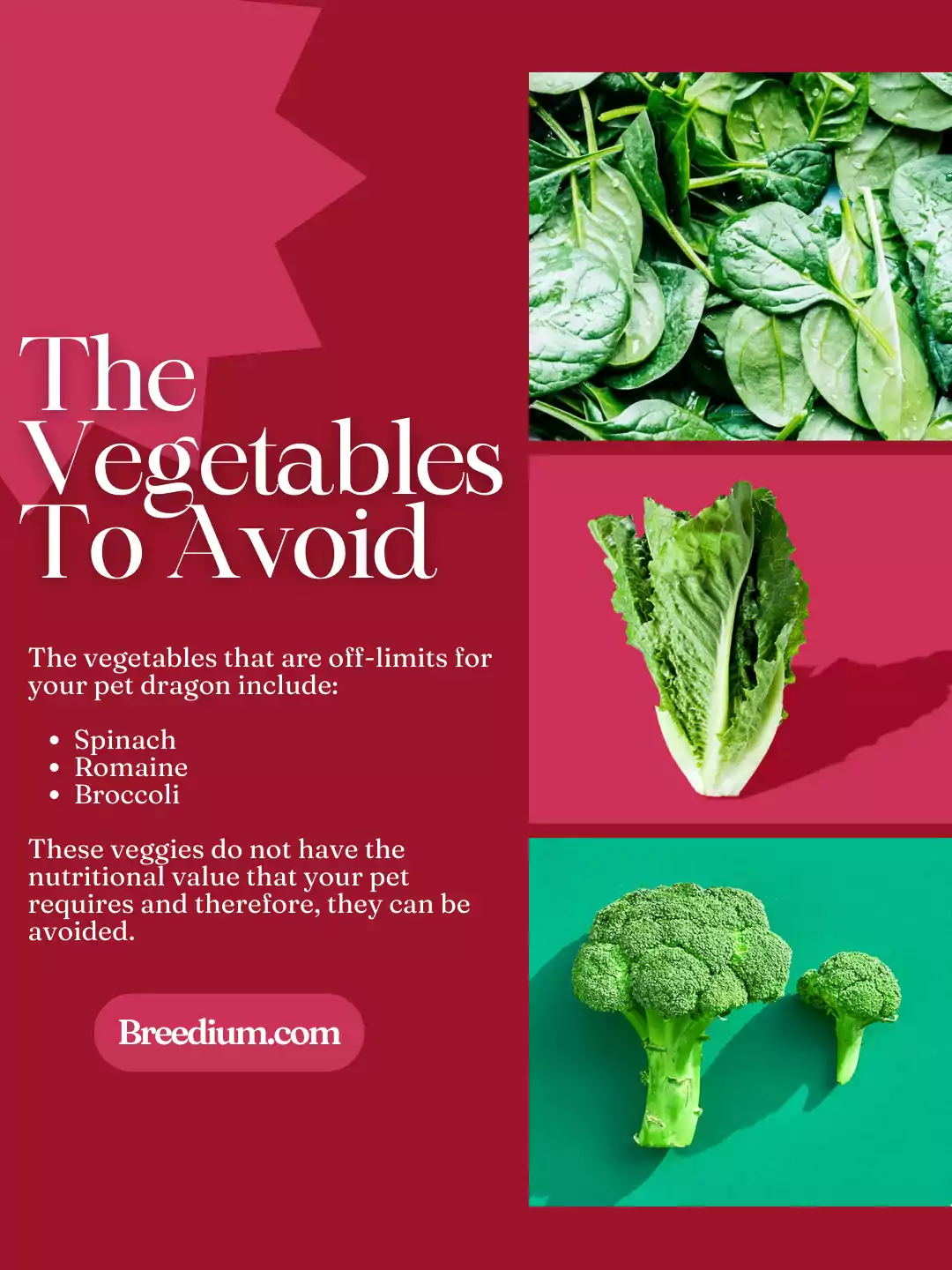 The Vegetables To Avoid