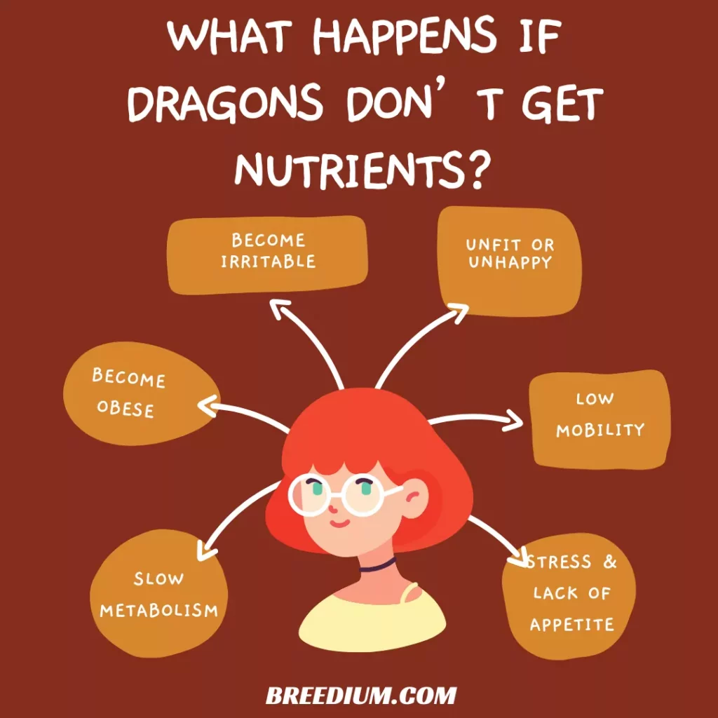 What Happens If Dragons Don’t Get Nutrients