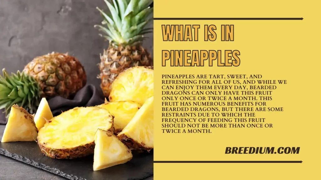 What Is In Pineapples