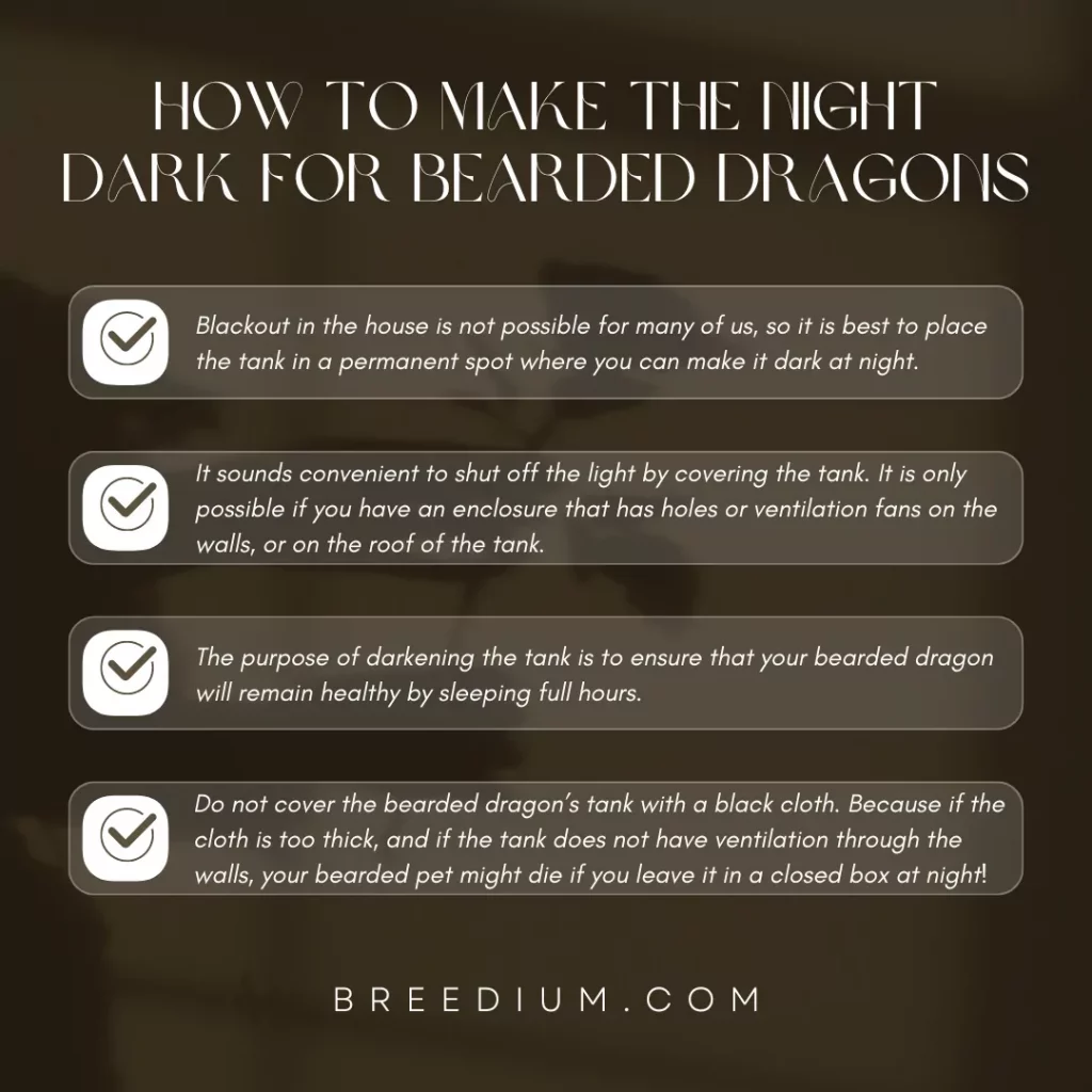 How To Make The Night Dark For Bearded Dragons