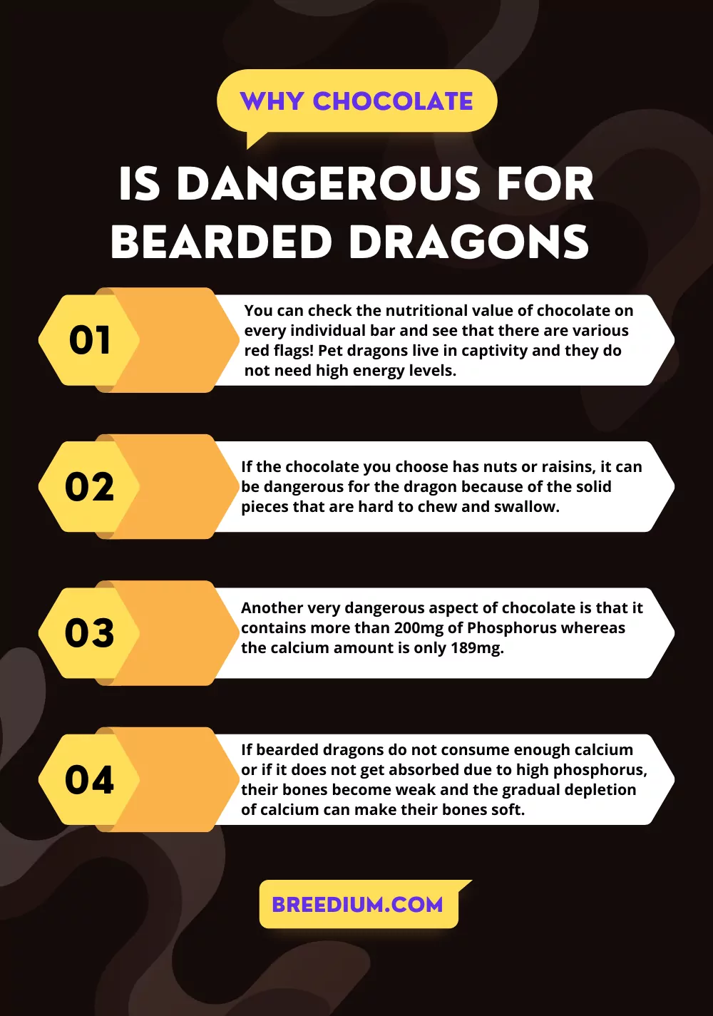 Dangers For Bearded Dragons In Chocolates