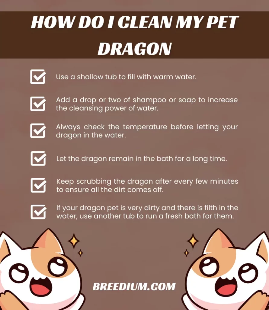 How Do I Clean My Pet Dragon
