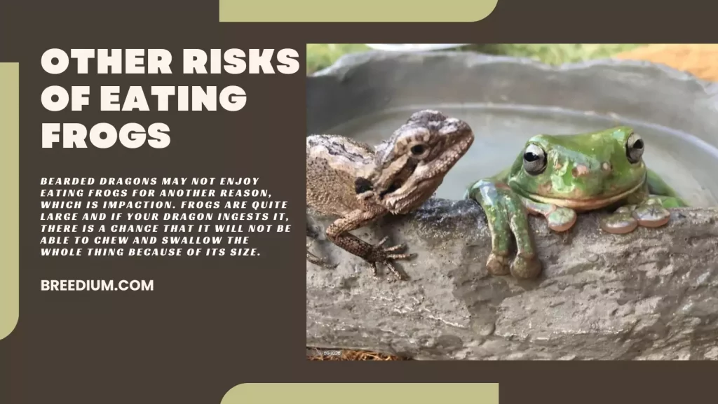 Other Risks Of Eating Frogs