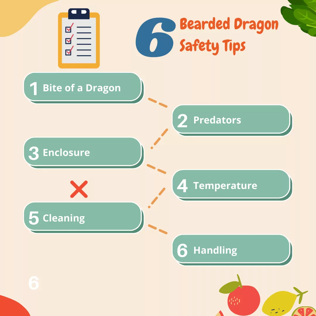 Bearded Dragon Safety Tips