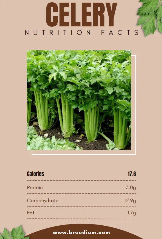 Nutritional Facts Of Celery