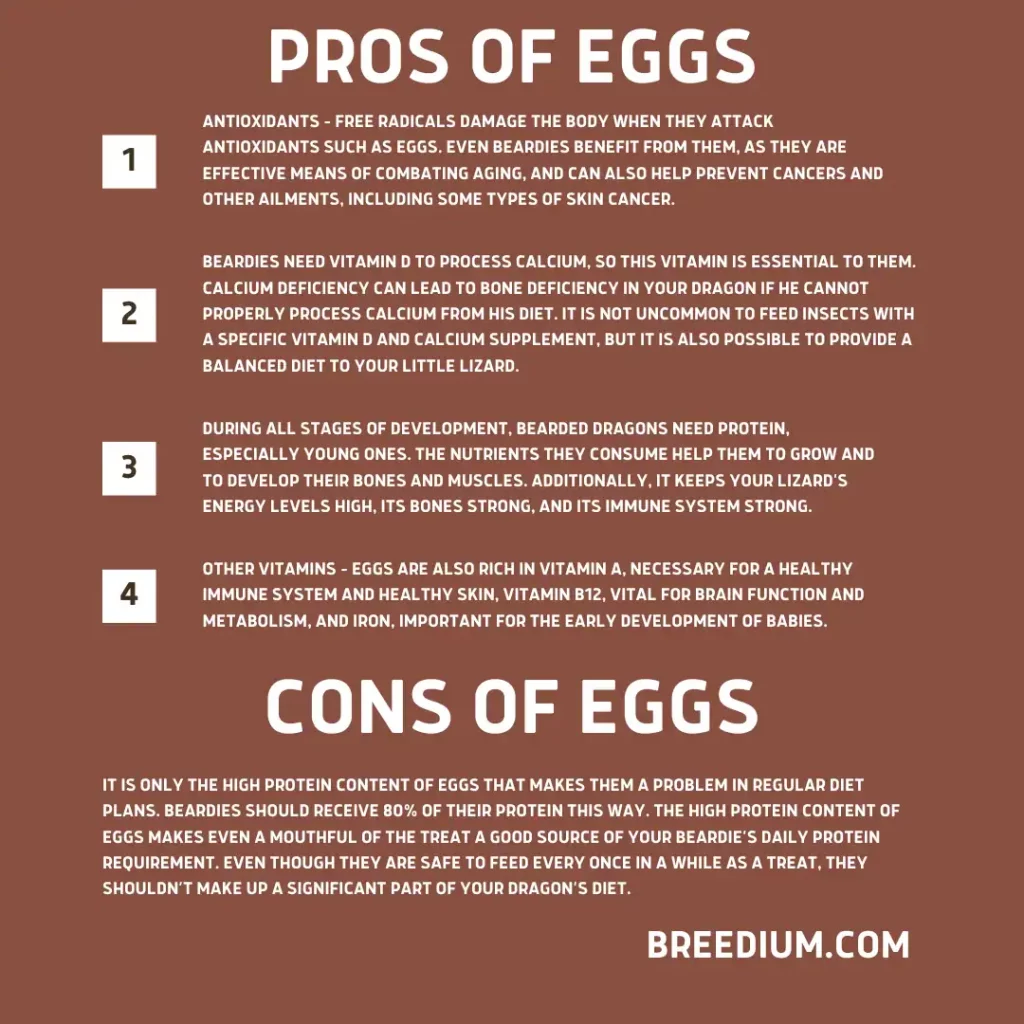 Pros And Cons Of Eggs