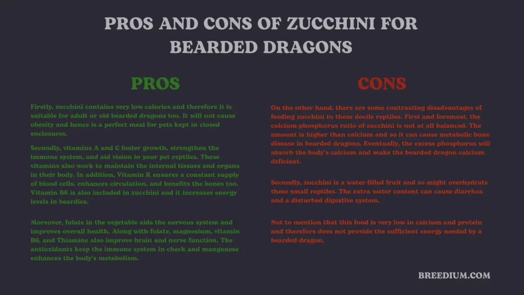 Pros And Cons Of Zucchini