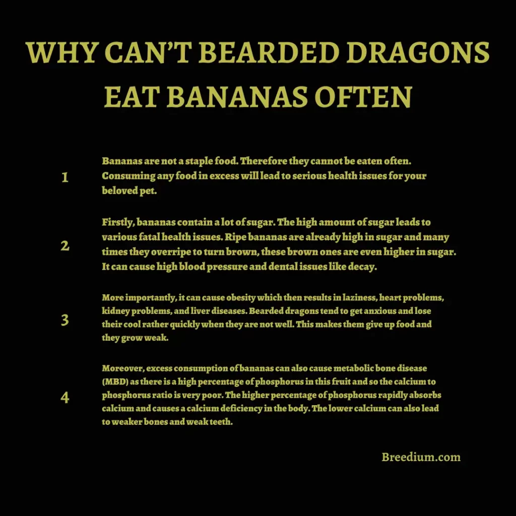 Why Can’t Bearded Dragons Eat Bananas Often