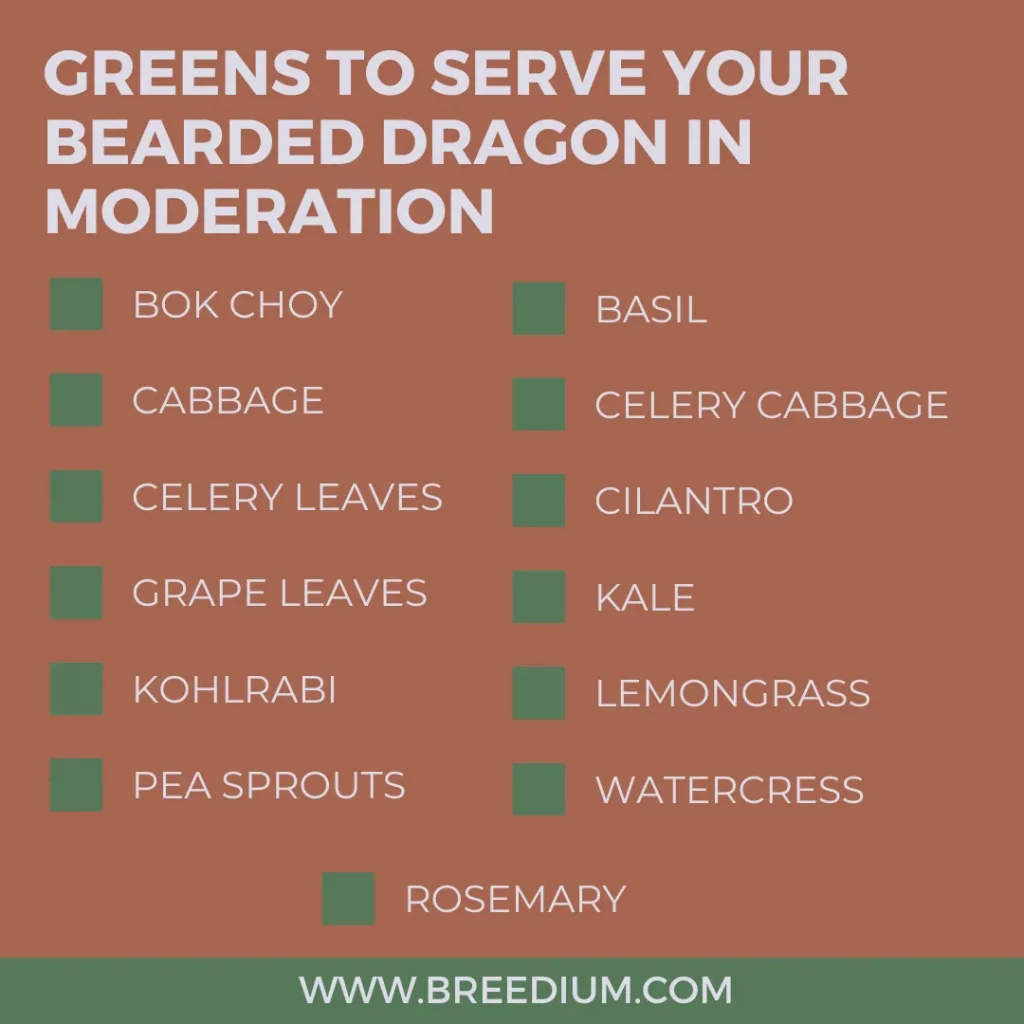 Greens to Serve Your Bearded Dragon in Moderation