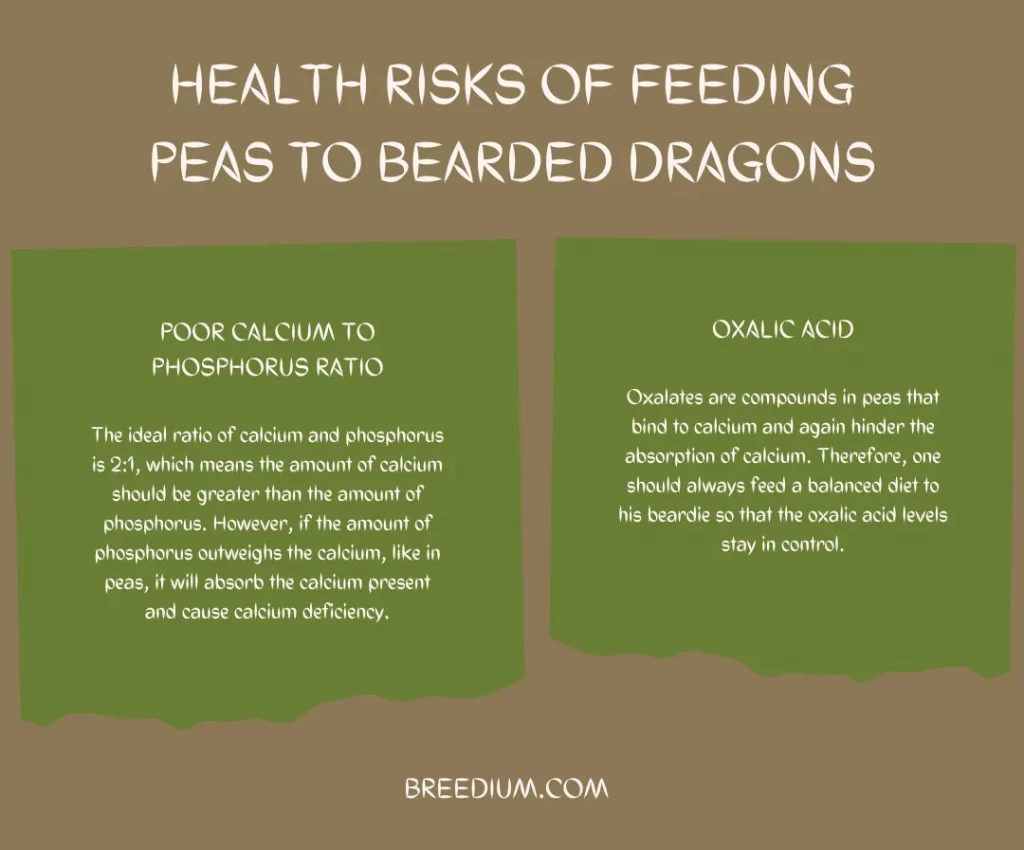 Health Risks Of Feeding Peas