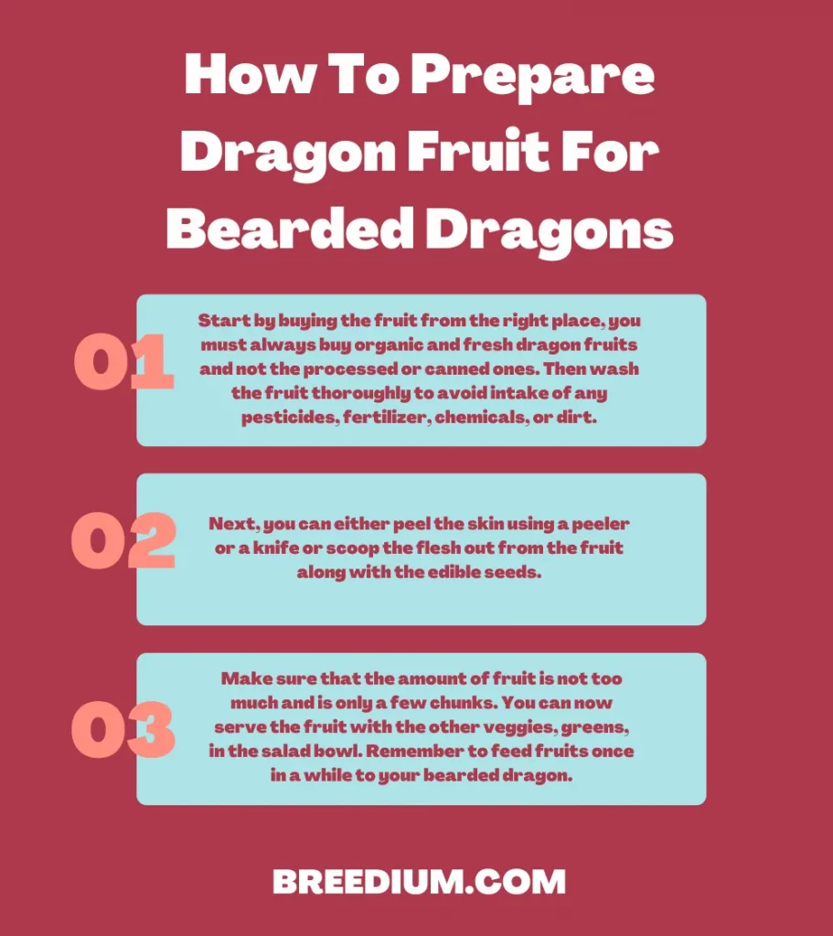 Prepare Dragon Fruit For Bearded Dragons