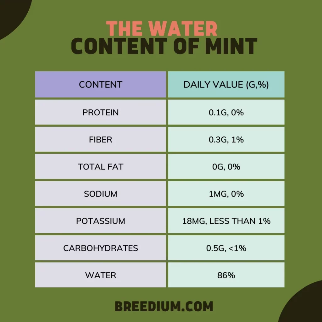 The Water Content Of Mint