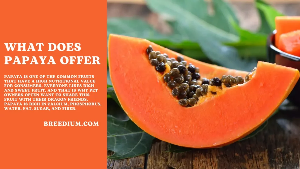 What Does Papaya Offer