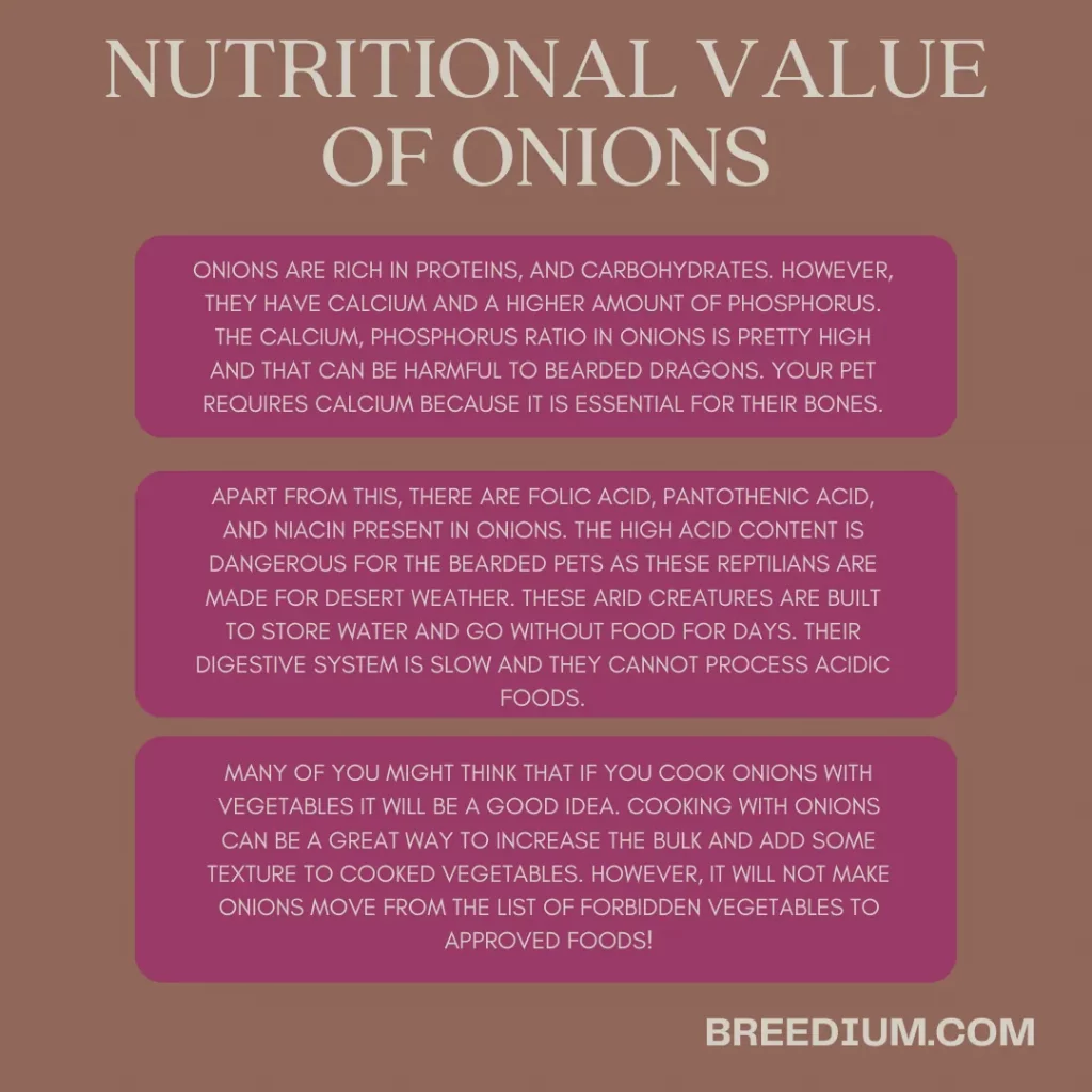 Nutritional Value Of Onions