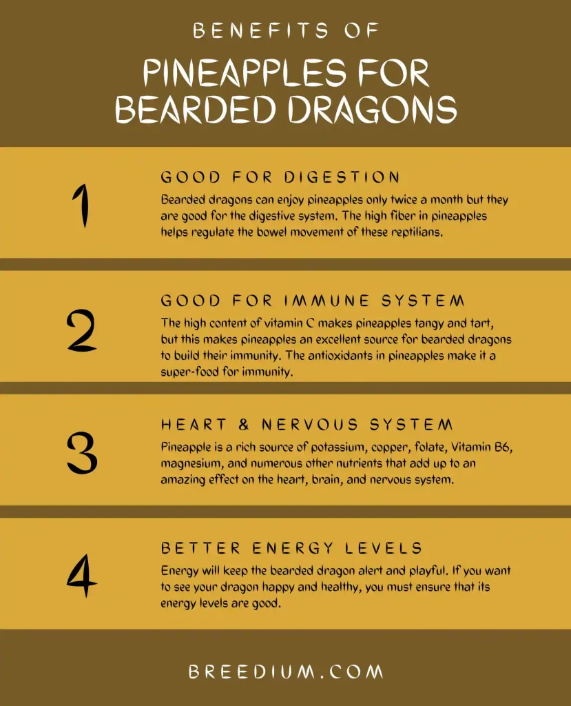 Benefits Of Pineapples For Bearded Dragons