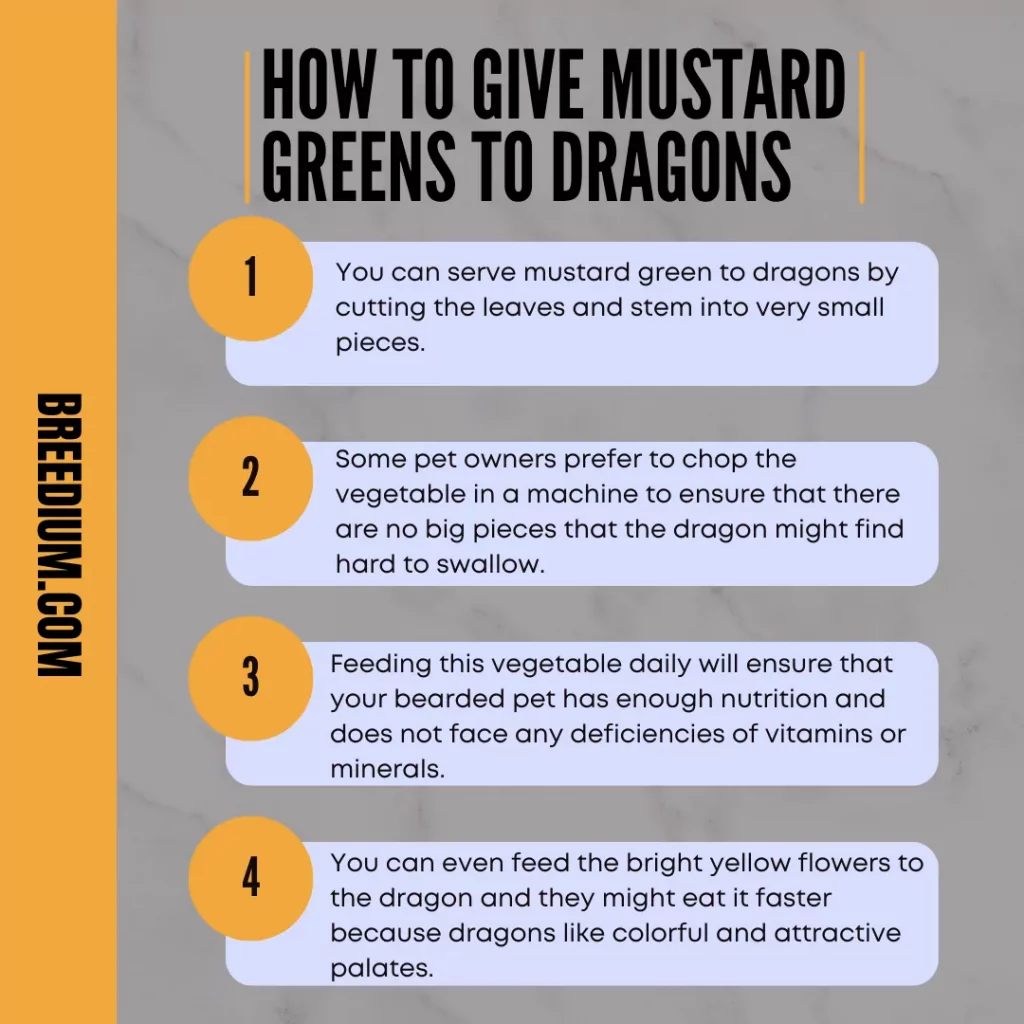How To Give Mustard Greens To Dragons