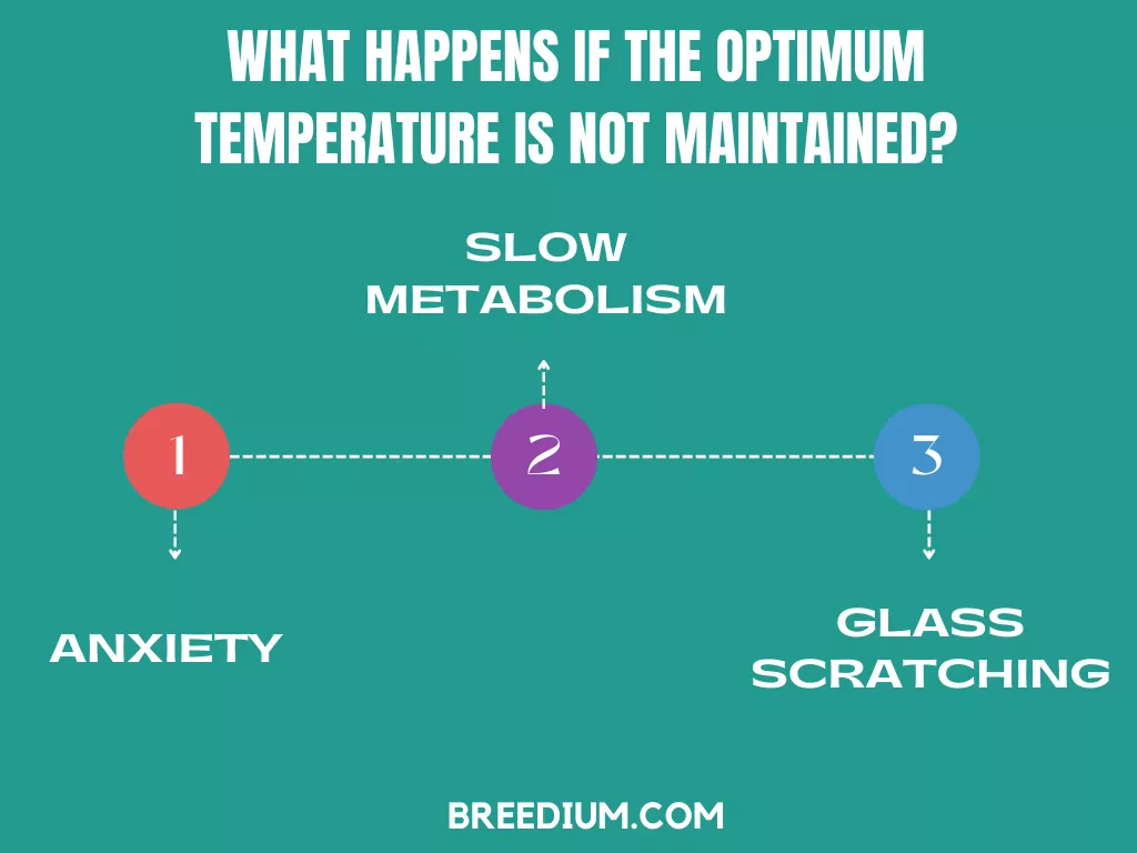 If the Optimum Temperature Is Not Maintained
