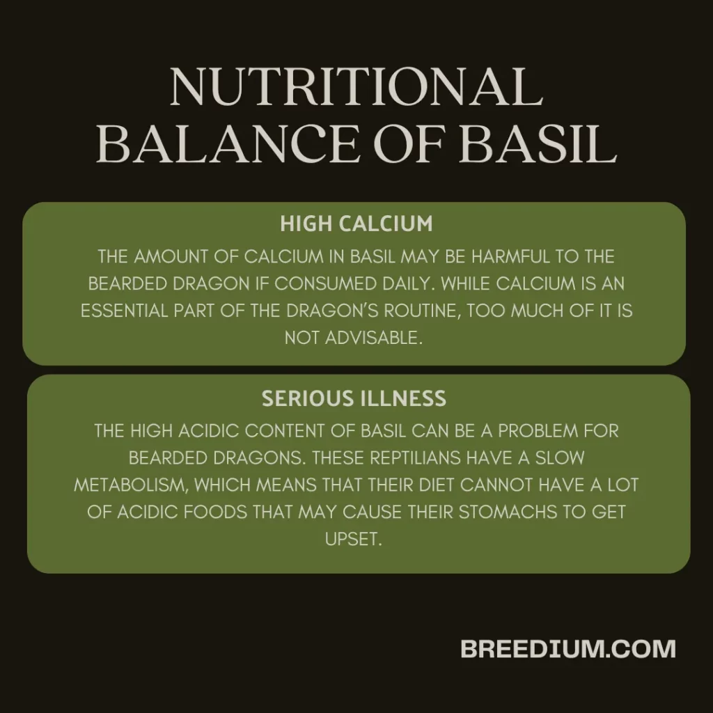 Nutritional Balance Of Basil