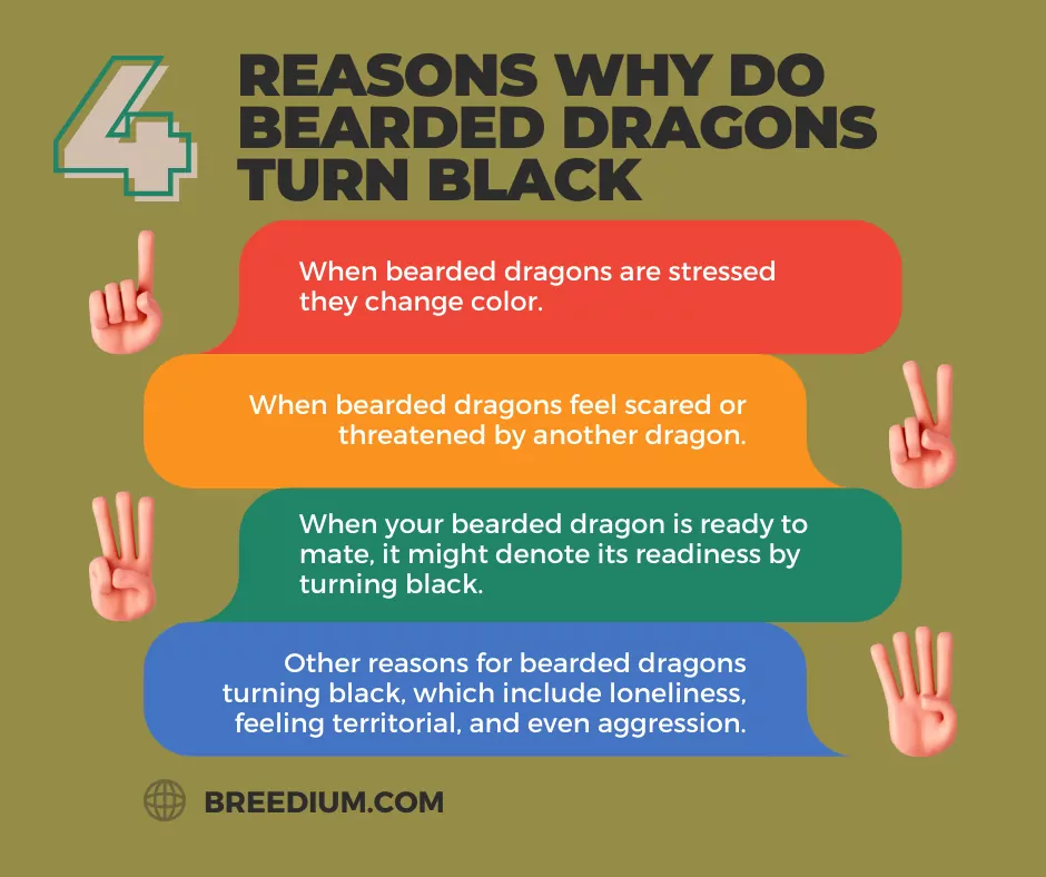 Reasons For Turning Black