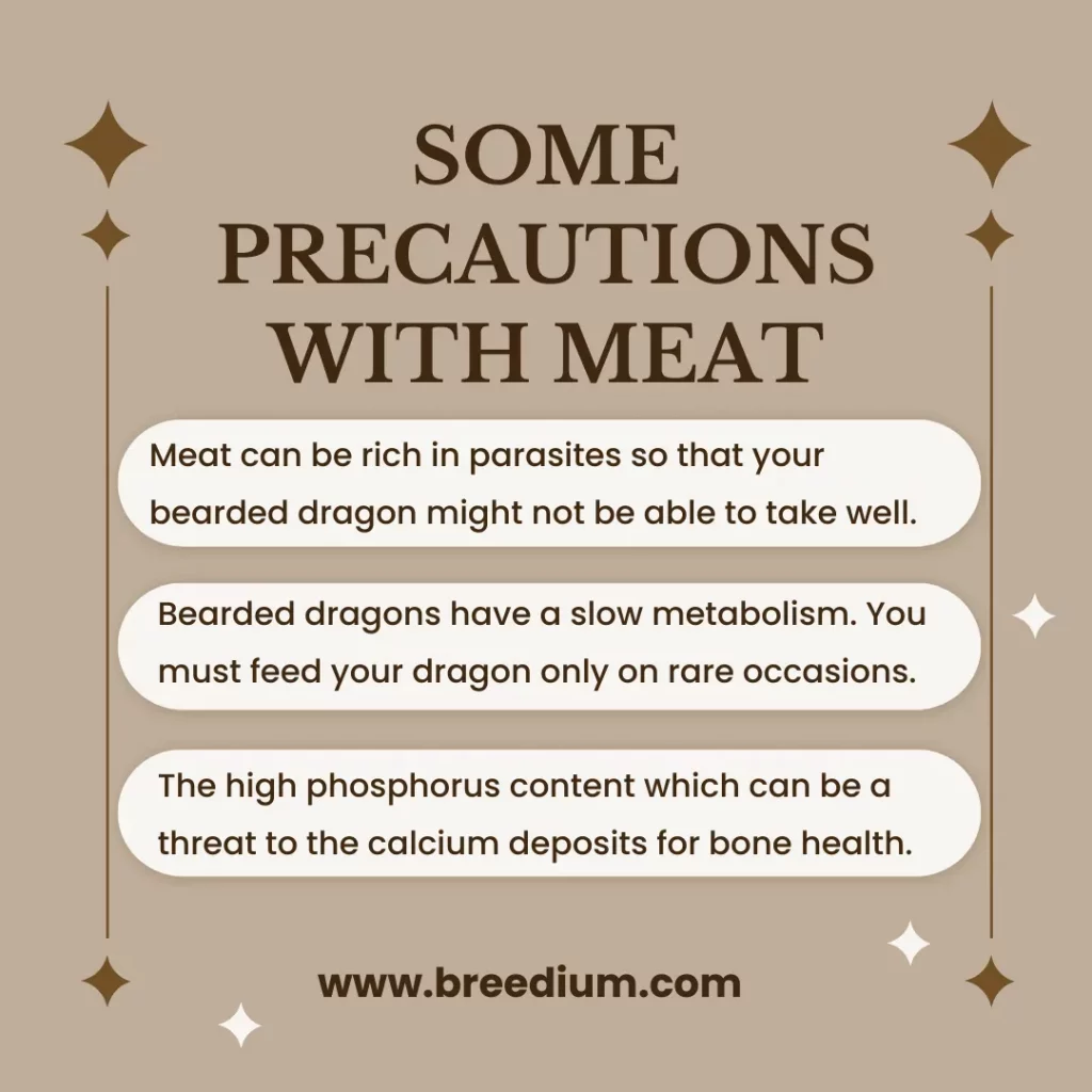 Some Precautions With Meat