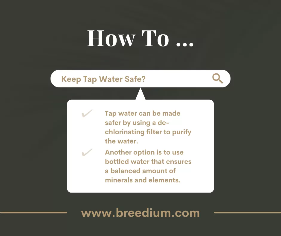 How To Keep Tap Water Safe