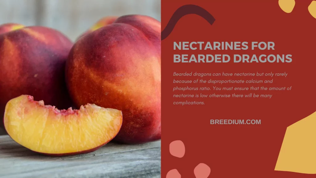 Nectarines For Bearded Dragons