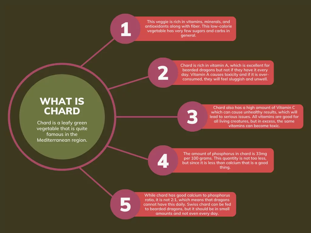 What Is Chard