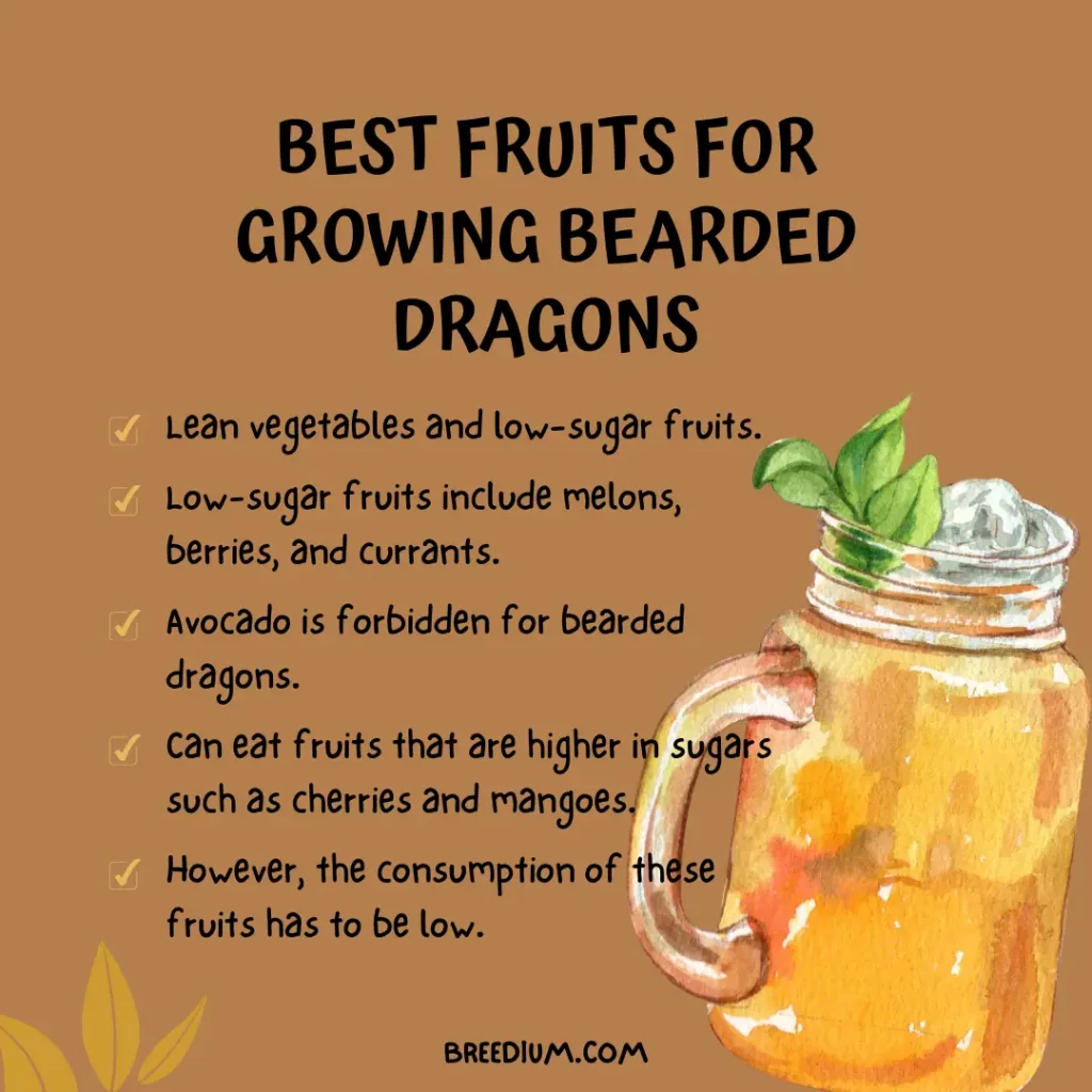 Best Fruits For Growing Bearded Dragons