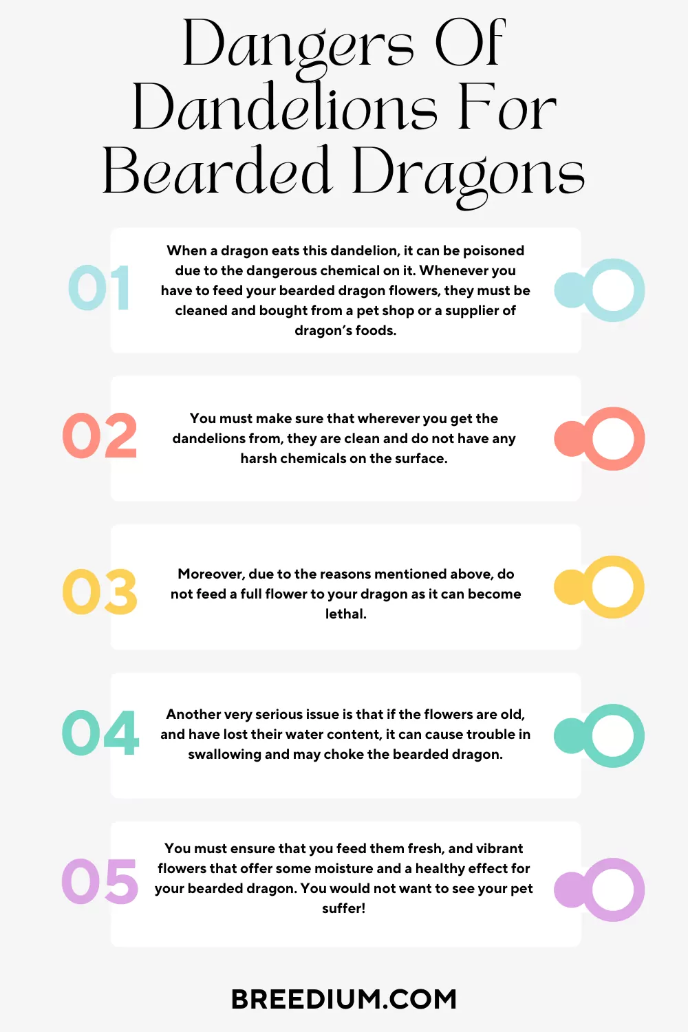 Dangers Of Dandelions For Bearded Dragons
