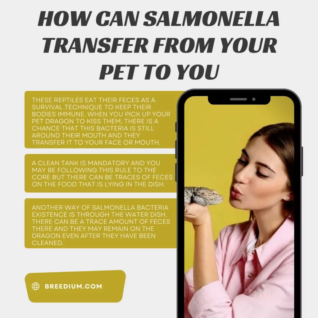 How Can Salmonella Transfer From Your Pet To You