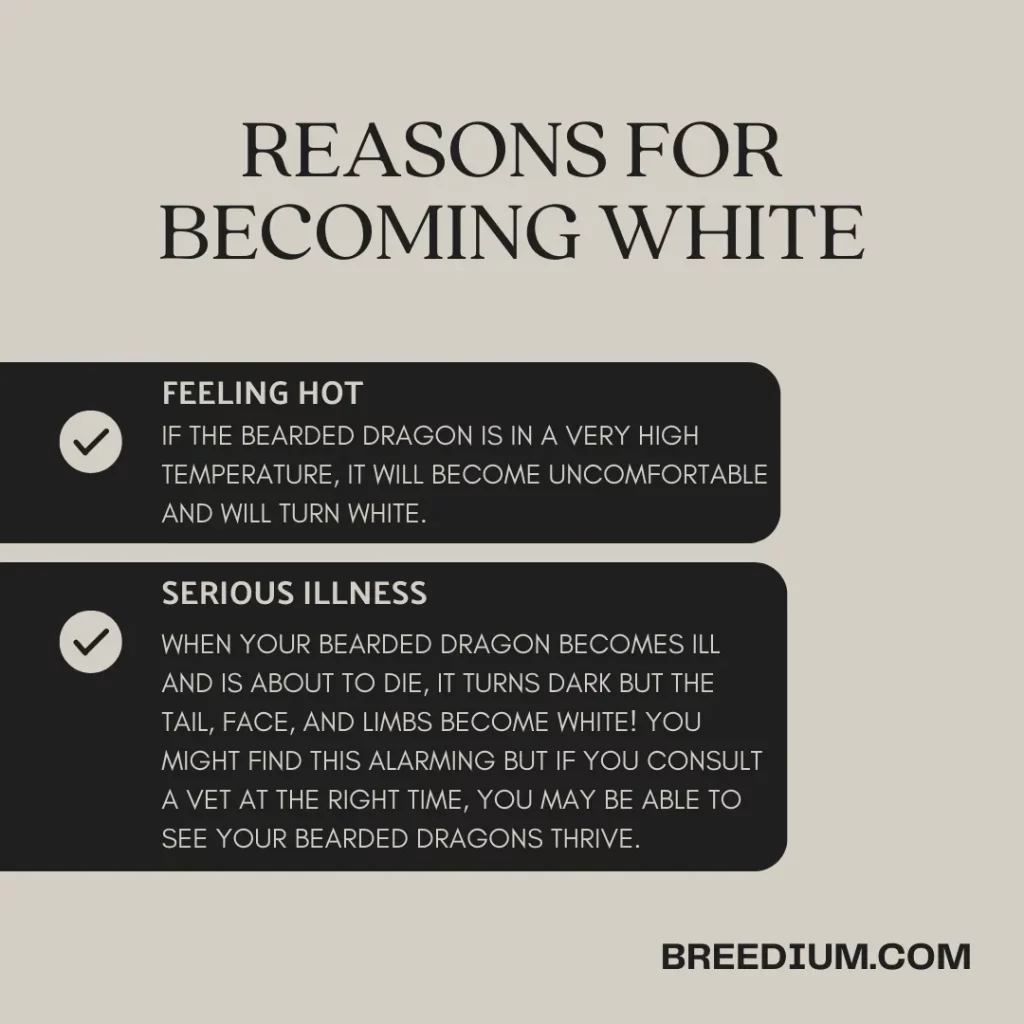 Reasons For Becoming White