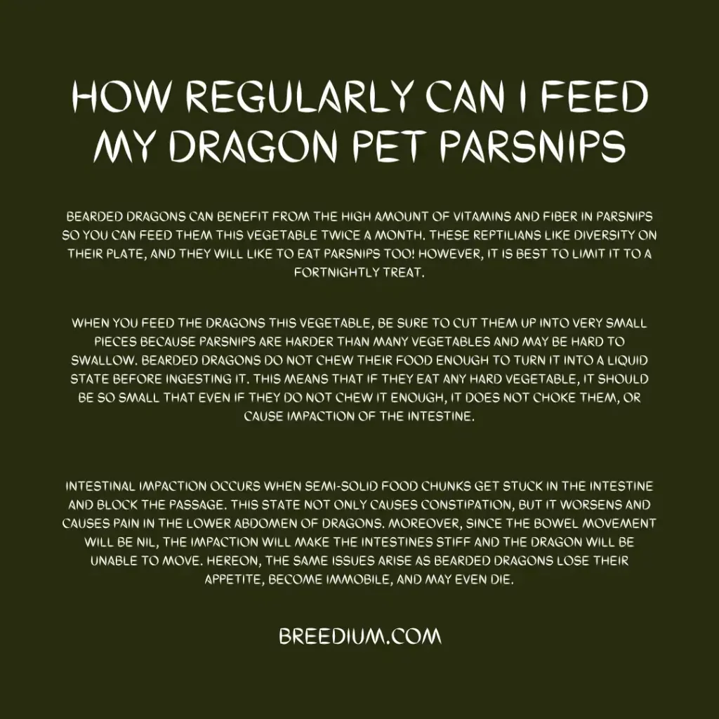 Can I Feed My Dragon Pet Parsnips