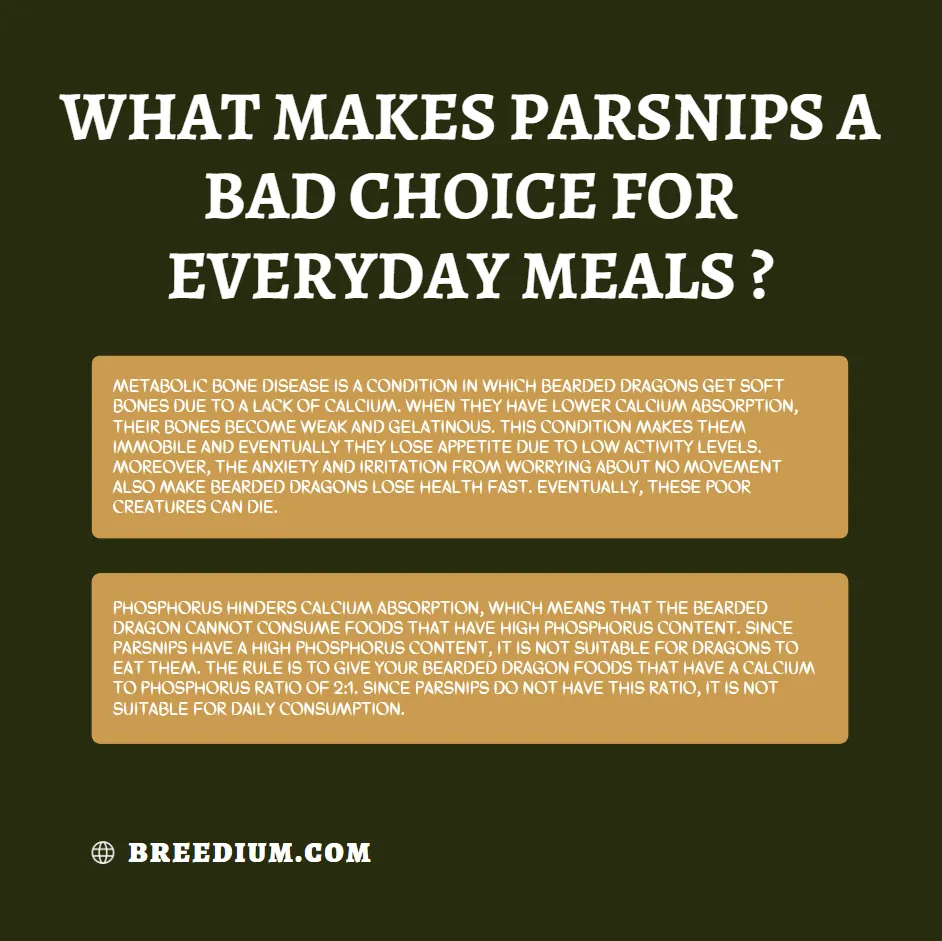 What Makes Parsnips A Bad Choice